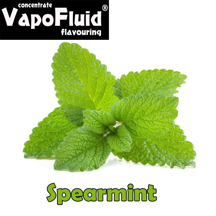 Spearmint 15/125ml-Vapofluid E-flavors