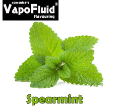 Spearmint 15/125ml-Vapofluid E-flavors