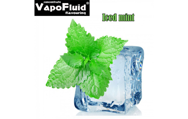 Icy mint 15/125ml-Vapofluid E-flavors