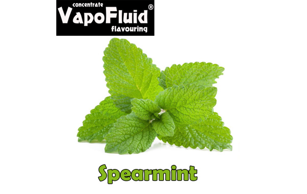 Spearmint 15/125ml-Vapofluid E-flavors