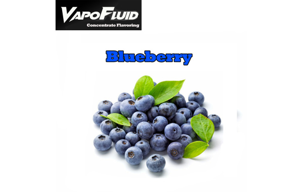 Blueberry 15/125ml-Vapofluid E-flavors